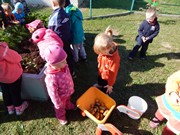 Sklízíme úrodu na zahrádce